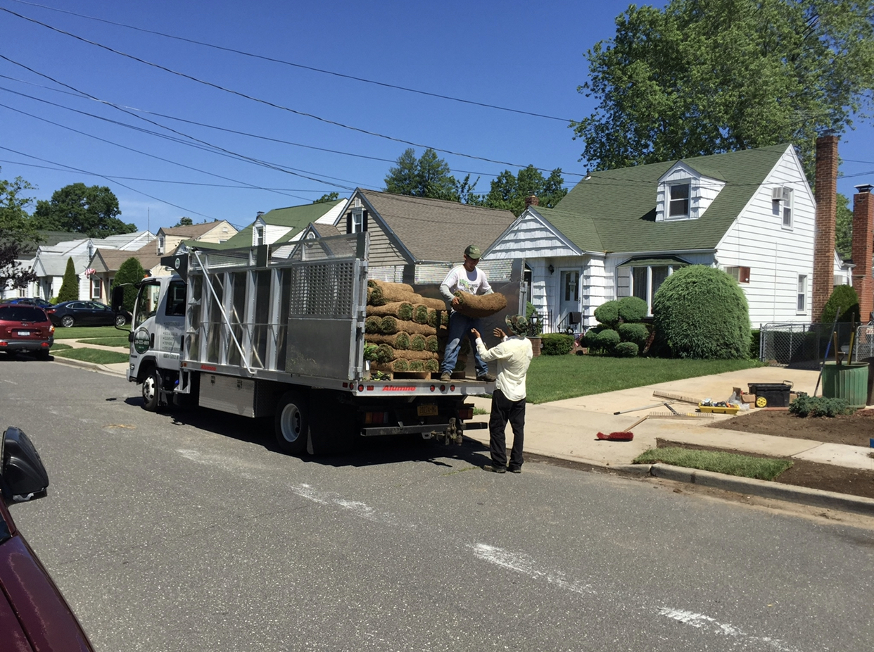 Tree and hedge work by J Rubio Landscaping & Son, Long Island
